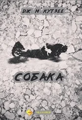 Джон Кутзее - Собака