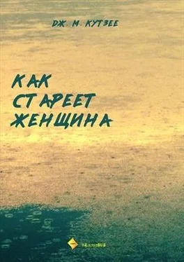 Джон Кутзее Как стареет женщина обложка книги