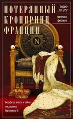 Светлана Ферлонг - Потерянный кронпринц Франции. Борьба за власть и тайна наследника Наполеона III