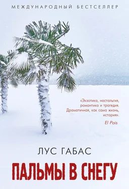 Лус Габас Пальмы в снегу [litres] обложка книги
