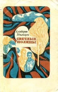 Альберт Усольцев Светлые поляны обложка книги
