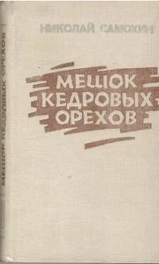 Николай Самохин Лето солнечного затмения обложка книги