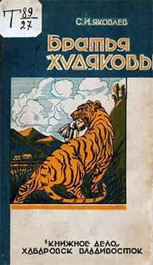 Сергей Яковлев Братья Худяковы обложка книги