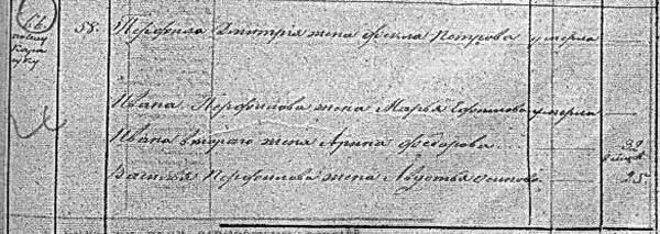 3512 Перфила Дмитрия жена Фекла Петрова умерла Ивана Перфилова жена Марья - фото 345