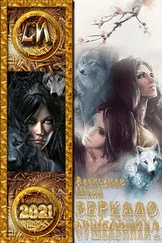 Александр Шкин - Зеркало отшельника. Книга вторая [СИ]