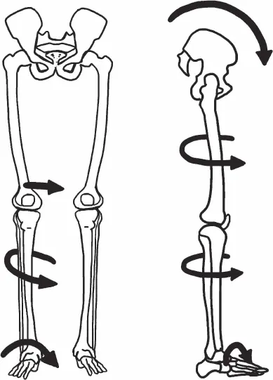 Рис 59 В итоге как вы поняли это как запутанный детектив где все связано - фото 59