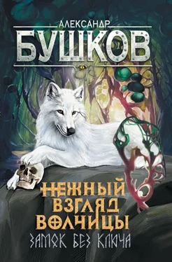 Александр Бушков Нежный взгляд волчицы. Замок без ключа обложка книги