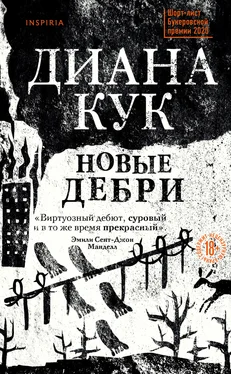 Диана Кук Новые Дебри [litres] обложка книги