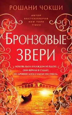 Рошани Чокши Бронзовые звери [litres] обложка книги