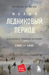 Брайан Фейган - Малый ледниковый период. Как климат изменил историю, 1300–1850