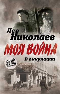 Лев Николаев В оккупации. Дневник советского профессора обложка книги