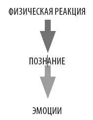 Двухфакторная теория эмоции В изложенной американцами Стенли Шехтером и - фото 70