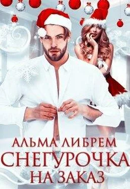 Альма Либрем Снегурочка на заказ обложка книги