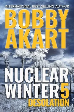 Bobby Akart Desolation обложка книги