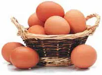 Один из самых широко используемых в кулинарии продуктов Яйца домашних птиц - фото 121