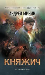 Андрей Минин - Княжич [litres]