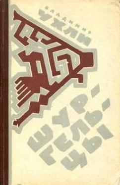 Владимир Ухли Шургельцы обложка книги