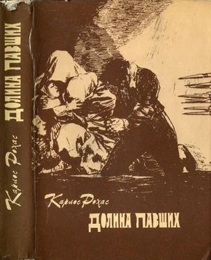 Карлос Рохас Долина павших обложка книги