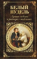 Александр Куприн - Ёж