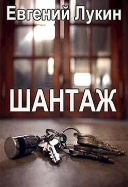 Евгений Лукин Шантаж обложка книги