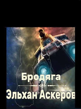 Эльхан Аскеров Бродяга (СИ) обложка книги