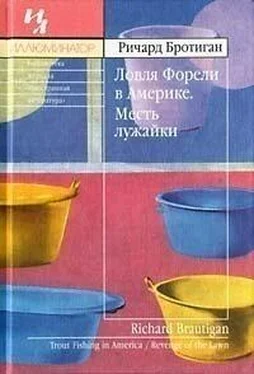 Ричард Бротиган Ловля форели в Америке. Месть лужайки [авторский сборник] обложка книги