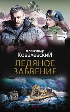 Александр Ковалевский Ледяное забвение обложка книги