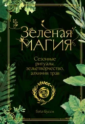 Гейл Бусси - Зеленая магия. Сезонные ритуалы, зельетворчество, алхимия трав
