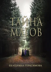 Екатерина Герасимова - Тайна магов [litres]