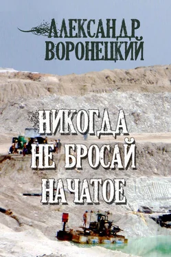 Александр Воронецкий Никогда не бросай начатое обложка книги