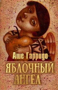 Алекс Гарридо Яблочный ангел [СИ] обложка книги