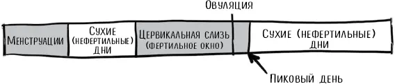 Рисунок 35 Пиковый день После овуляции заметно увеличивается выработка - фото 8