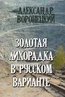 Александр Воронецкий Золотая лихорадка в русском варианте обложка книги