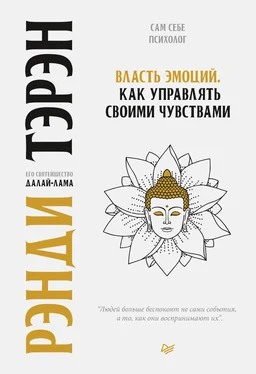 Рэнди Тэрэн Власть эмоций. Как управлять своими чувствами обложка книги