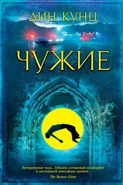 Дин Кунц Чужие обложка книги