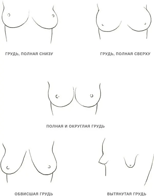 Вытянутая грудь Вытянутая грудь которую также называют козьей грудью - фото 5