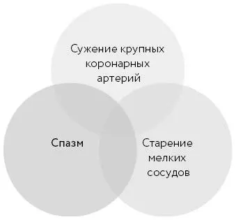 Боль за грудиной изза сочетания спазма и старения более крупных и мелких - фото 10