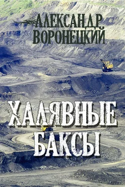 Александр Воронецкий Халявные баксы обложка книги