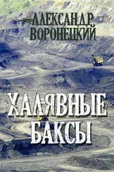 Александр Воронецкий - Халявные баксы