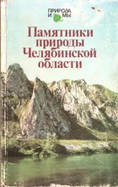 Александр Моисеев Памятники природы Челябинской области обложка книги