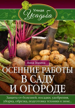 Анна Зорина Осенние работы в саду и огороде. Защита от болезней, посадки, удобрения, уборка, обрезка, подготовка техники к зиме… обложка книги