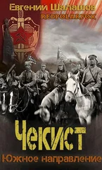 Евгений Шалашов - Южное направление