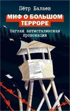 Петр Балаев Миф о Большом терроре обложка книги