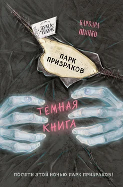 Барбара Шинко Парк призраков [litres] обложка книги