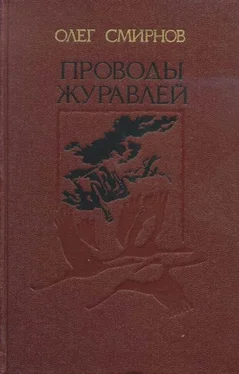 Олег Смирнов Остаток дней обложка книги