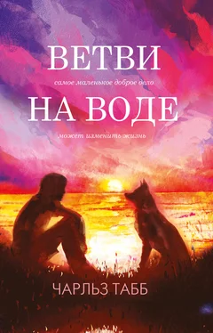 Эдвин Табб Ветви на воде [litres] обложка книги