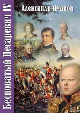 Александр Яманов Бесноватый Цесаревич-4 обложка книги