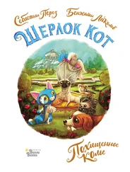 Себастьян Перез - Шерлок Кот. Похищенное колье [litres]