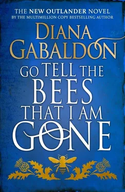 Диана Гэблдон Go Tell the Bees That I Am Gone обложка книги