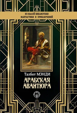 Талбот Мэнди Арабская авантюра [litres] обложка книги